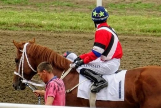 На Южном Урале пройдут конные соревнования