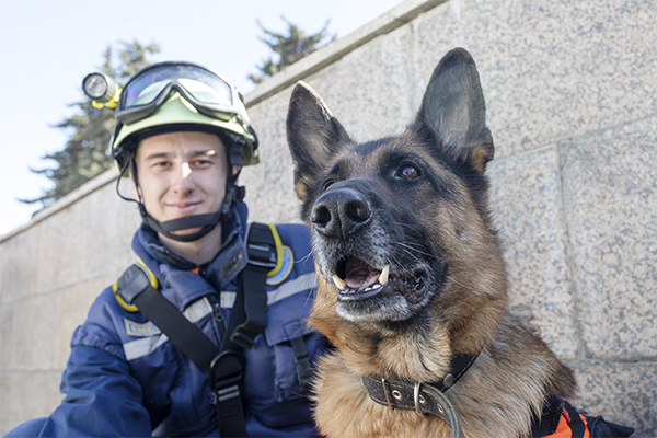 В Челябинске собаку-спасателя наградили званием «Защитник людей»